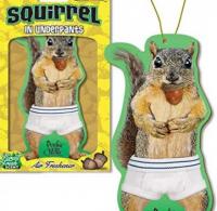 Squirrel air freshner