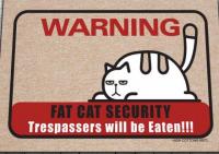Warning fat cat 