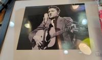 Elvis framed pictyre